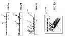 Fig. 09 - Articles with Applied Recycled Souvenir Particulate and Method of Manufacture