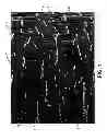 Fig. 02 - Expanded TFE copolymers, method of making and porous, expanded articles thereof