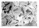 Fig. 01 - CELLULOSIC STAPLE FIBER AND ITS USE