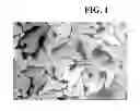Fig. 02 - CELLULOSIC STAPLE FIBER AND ITS USE