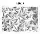 Fig. 04 - CELLULOSIC STAPLE FIBER AND ITS USE
