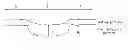 Fig. 01 - Grain oriented electrical steel sheet