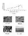 Fig. 06 - Method for preparing a composite, composite thus obtained and uses thereof