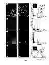 Fig. 03 - Nanocomposites