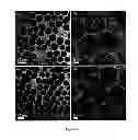 Fig. 07 - Nanocomposites