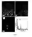 Fig. 09 - Nanocomposites