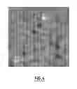 Fig. 04 - Thin films organized in nanodomains on the basis of copolymers having polysaccharide blocks for applications in nanotechnology