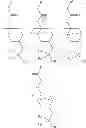 Fig. 22 - Polymerizable tertiary ester compound, polymer, resist composition, and patterning process