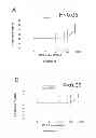 Fig. 06 - SPERM CRYOPROTECTIVE MEDIA