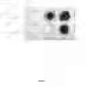 Fig. 02 - ABC terpenoid transporters and methods of using the same