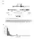 Fig. 22 - PSEUDOGENES AND USES THEREOF