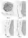 Fig. 07 - Polymer stabilization of chromogen solutions