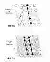 Fig. 03 - Rare cell analysis using sample splitting and DNA tags