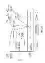 Fig. 46 - Rare cell analysis using sample splitting and DNA tags