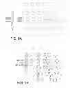 Fig. 02 - Rare cell analysis using sample splitting and DNA tags