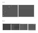 Fig. 08 - METHOD FOR THE DETECTION AND/OR QUANTIFICATION OF THE INTERACTION OF PLATELETS WITH INTERACTION PARTNERS