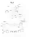 Fig. 02 - Method for detecting the presence of a protease enzyme in a sample