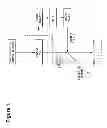 Fig. 02 - ISOLATION OF PELLET-FORMING MICROORGANISMS