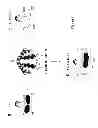 Fig. 02 - Process for engineering polyvalent, polyspecific fusion proteins using uteroglobin as skeleton and so obtained products.