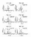 Fig. 13 - Antibody composition-producing cell