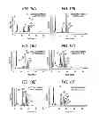 Fig. 17 - Antibody composition-producing cell