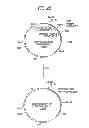Fig. 23 - Antibody composition-producing cell