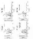 Fig. 46 - Antibody composition-producing cell