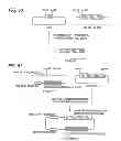 Fig. 49 - Antibody composition-producing cell
