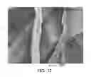 Fig. 08 - Fibrous materials and composites