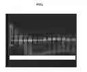 Fig. 06 - COMPOSITIONS AND METHODS FOR REPROGRAMMING MAMMALIAN CELLS