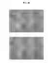 Fig. 69 - COMPOSITIONS AND METHODS FOR REPROGRAMMING MAMMALIAN CELLS