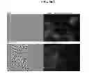 Fig. 76 - COMPOSITIONS AND METHODS FOR REPROGRAMMING MAMMALIAN CELLS