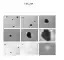 Fig. 90 - COMPOSITIONS AND METHODS FOR REPROGRAMMING MAMMALIAN CELLS
