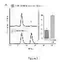 Fig. 03 - Method and compositions for improved lignocellulosic material hydrolysis