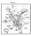 Fig. 07 - Method and compositions for improved lignocellulosic material hydrolysis