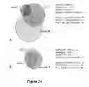 Fig. 71 - Method and compositions for improved lignocellulosic material hydrolysis