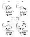 Fig. 22 - Compositions, Methods, and Kits for Polyunsaturated Fatty Acids from Microalgae