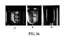 Fig. 40 - Compositions, Methods, and Kits for Polyunsaturated Fatty Acids from Microalgae