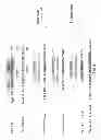 Fig. 07 - IMMUNOSELECTION OF RECOMBINANT VESICULAR STOMATITIS VIRUS EXPRESSING HIV-1 PROTEINS BY BROADLY NEUTRALIZING ANTIBODIES