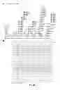 Fig. 30 - IMMUNOSELECTION OF RECOMBINANT VESICULAR STOMATITIS VIRUS EXPRESSING HIV-1 PROTEINS BY BROADLY NEUTRALIZING ANTIBODIES