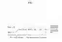 Fig. 09 - Method for producing glucosidase, enzyme composition, and method for hydrolyzing biomass