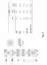 Fig. 44 - Multi plasmid system for the production of influenza virus
