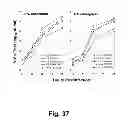 Fig. 71 - Multi plasmid system for the production of influenza virus