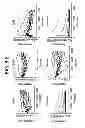 Fig. 08 - MODULATION OF THE MAMMALIAN RECEPTOR mTOR TO INHIBIT  STEM CELL DIFFERENTIATION INTO NEURONS