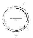 Fig. 04 - Methods for the production of IPS cells using Epstein-Barr (EBV)-based reprogramming vectors