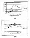 Fig. 02 - Hepatitis C virus gene