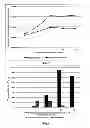 Fig. 04 - Hepatitis C virus gene