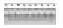 Fig. 01 - Method of fabricating dual trench isolated epitaxial diode array