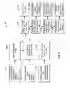 Fig. 07 - Method and system for template assisted wafer bonding using pedestals