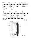 Fig. 06 - Apparatus and method for hybrid photovoltaic device having multiple, stacked, heterogeneous, semiconductor junctions